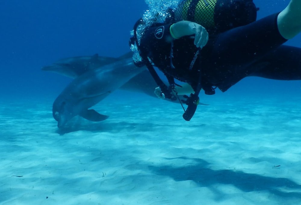 Sunshine Bay Hotel Zanzibar